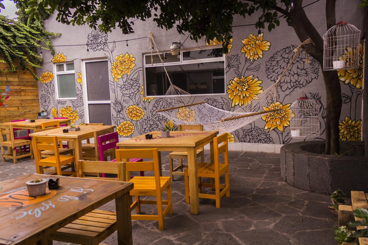 Casa Internacional Queretaro Bagian luar foto